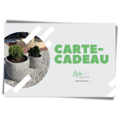 Carte cadeau