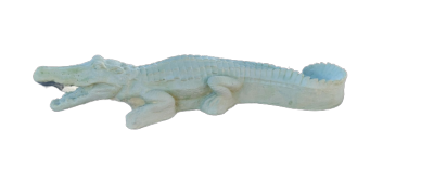 Crocodile Vert