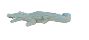 Crocodile Vert