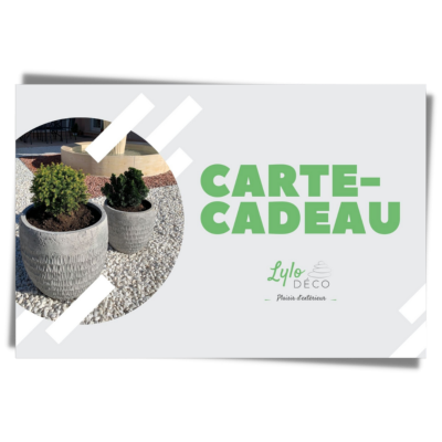 Carte cadeau