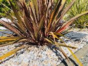 Gravier Hawaï 12/18 sac 20KG