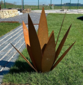 Agave en Corten 